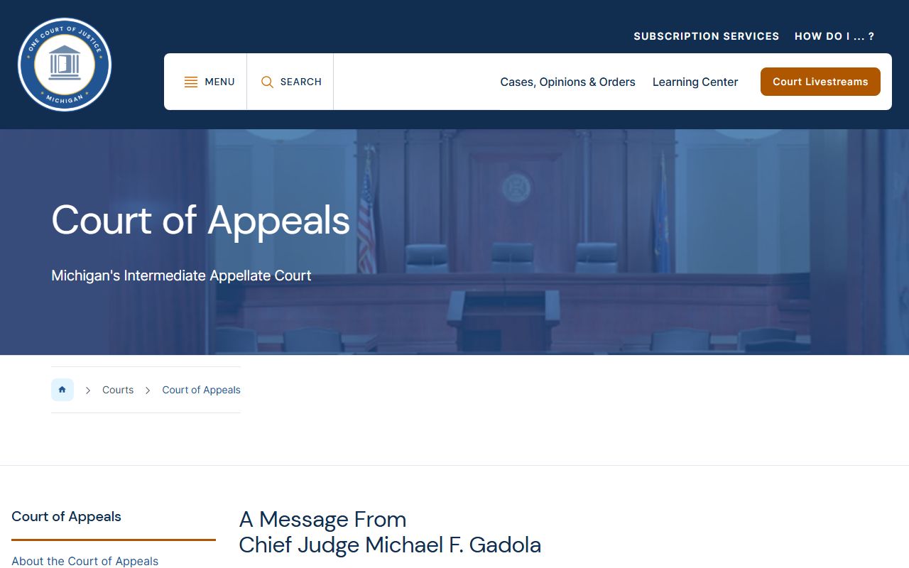 Baraga County court dockets and the Michigan Court of Appeals overview
