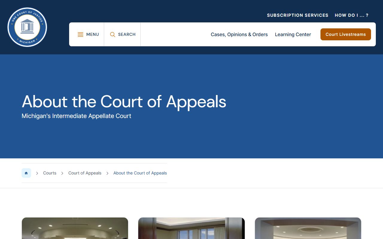 Baraga County court dockets and Michigan Court of Appeals district information