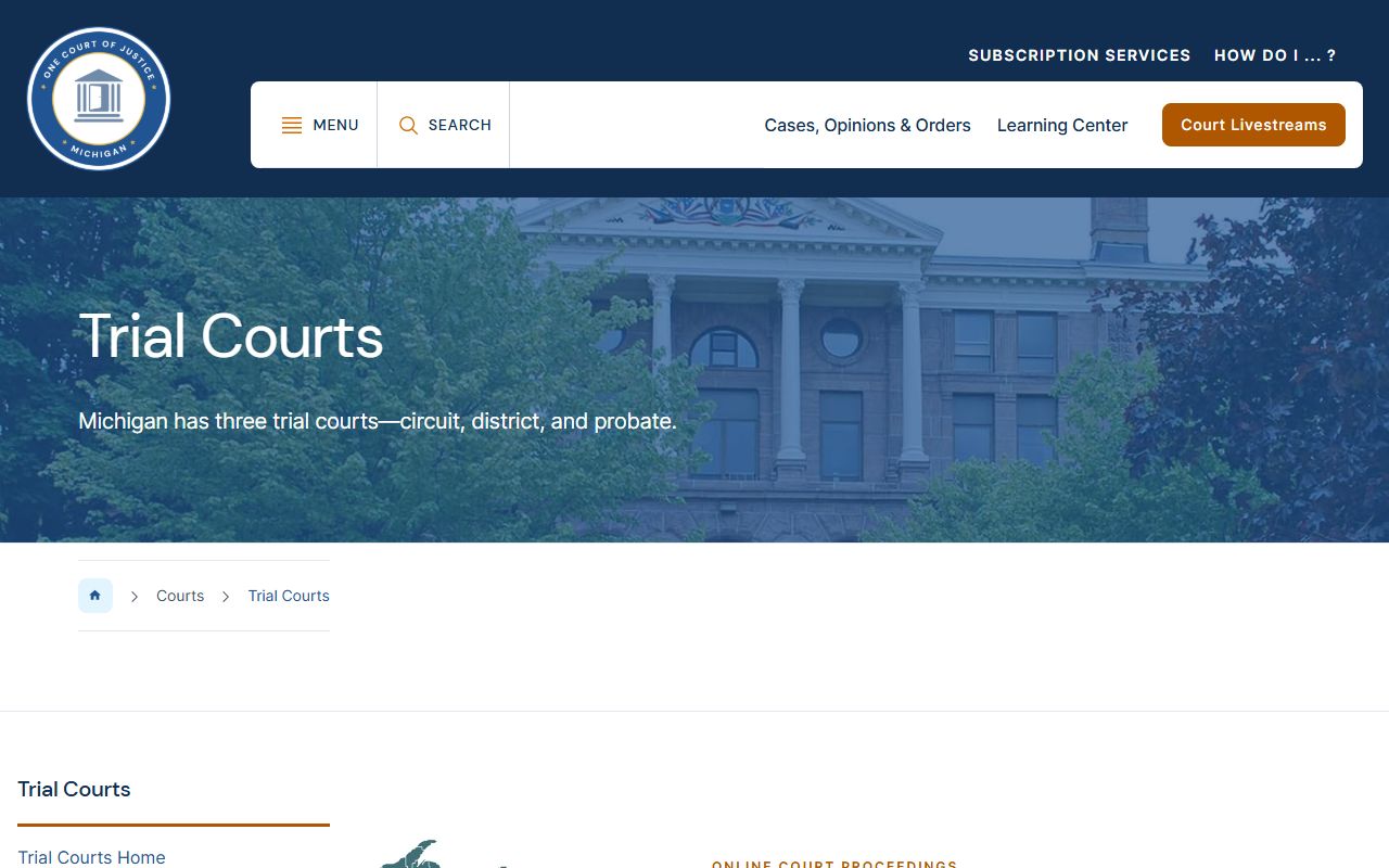 Baraga County court records categories described on the Michigan trial courts page
